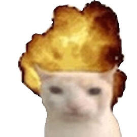 layla; genshin impact